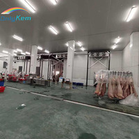 Chambre froide de congélation rapide pour viande, congélateur à choc isolé en PU pour abattoir et usine de volailles, chambre froide de plain-pied