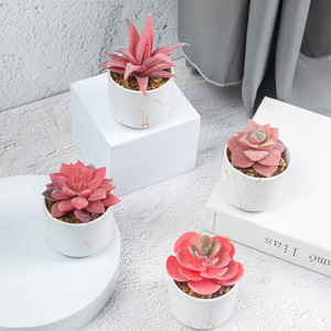 Vente flash : <span class=keywords><strong>Mini</strong></span> plante succulente en pot de bureau en forme de diamant rose, en PVC souple, haute simulation, anti-chute, décoration de bureau, livraison instantanée - Product Image 1