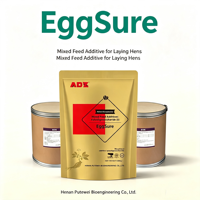 EggSure Complément Nutritionnel Naturel pour Volailles Améliore les Performances Reproductives Soutient la Santé Intestinale Renforce l'Immunité des Poules