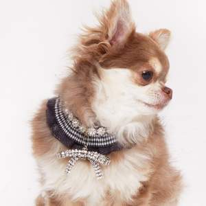Collar de Lujo para Mascotas de Cuero Vegano con Cristales, para Perros y Gatos, Accesorio Personalizable con Opciones en Dorado, Plateado y Negro - Product Image 3