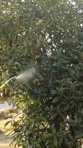 Hogedruk Tuinslang Sproeiselnevel Met Drie Mondstukken Tuinslang Spuit Sproeikop Roestvrijstalen Sproeistang - Product Image 3