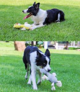 Üretici toptan yumuşak sevimli hayvanlar interaktif gıcırtılı <span class=keywords><strong>pet</strong></span> köpek oyuncağı peluş oyuncaklar <span class=keywords><strong>pet</strong></span> çiğnemek köpek oyuncaklar - Product Image 5