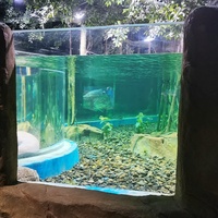 Vente directe d'usine Leyu, aquarium en acrylique transparent de grande taille, de bonne qualité, respectueux de l'environnement, avec taille personnalisée