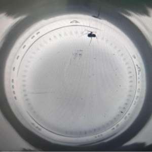 <span class=keywords><strong>เครื่อง</strong></span>ตรวจสอบขวด<span class=keywords><strong>เปล่า</strong></span>แบบ AI 360 องศา รุ่น BEER EBI พร้อมหน้าจอสัมผัสอุตสาหกรรมความละเอียดสูง - Product Image 2