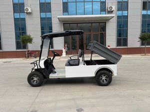 Golf Cart Quick-<b>Charge</b> Electric Golf Cart CE Certification Golf Cart 4 Wheel Small Vehicle - Product Image 1