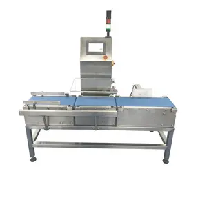 High Accuracy Food Packing Pouches Digital Weight Checking Machine Dynamic Check Weigher Machine