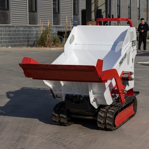Produits les plus vendus : Mini-dumper chenillé 500 kg avec basculement hydraulique, moteur essence EPA/Euro 5, pneus en caoutchouc - Product Image 4