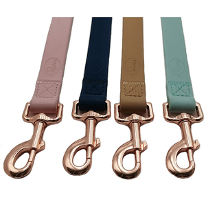 2023 vendita calda da <span class=keywords><strong>1</strong></span> 3/<span class=keywords><strong>4</strong></span> 5/8 pollici di larghezza LOGO personalizzato <span class=keywords><strong>ECO</strong></span> <span class=keywords><strong>Friendly</strong></span> resistente doppio manico clip guinzaglio cane in PVC impermeabile - Product Image 1