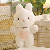 Fait sur mesure 20cm 8 pouces Kpop Idol peluche animal mignon coton peluche poupée jouets