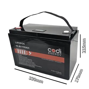 Batterie Lifepo4 12 V 24 V personnalisée 12 Volt 24 V 50Ah 100Ah 150Ah 200Ah 250Ah 300Ah 400Ah Pack de batterie au lithium-ion pour VR solaire
