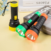 Mini lampe torche portable à clé, économique, en ABS, piles AA, pour situations d'urgence, camping en plein air, LED 3W, autonomie 10000 heures, lumière blanche