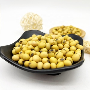 Grains <span class=keywords><strong>de</strong></span> <span class=keywords><strong>soja</strong></span> crus <span class=keywords><strong>de</strong></span> haute qualité, en sachet, graines <span class=keywords><strong>de</strong></span> <span class=keywords><strong>soja</strong></span> en vrac biologique pour aliments - Product Image 3