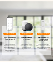 Persianas Enrollables Automáticas Inteligentes con Panel Solar, Motorizadas, Tipo Zebra, para Ventanas Francesas, Precio de Fábrica, Personalizadas
