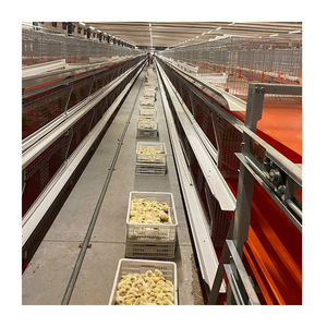 Nouvelle cage <span class=keywords><strong>à</strong></span> poulets automatique de type H pour poussins d'un <span class=keywords><strong>jour</strong></span>, avec une durée de vie de 15 <span class=keywords><strong>à</strong></span> 20 ans - Product Image 1