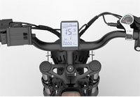 Moteur de moyeu 1000w, batterie au lithium 20 pouces, vélo électrique intelligent de ville, 7 vitesses, cadre en acier, cadre tubulaire, pneu gras