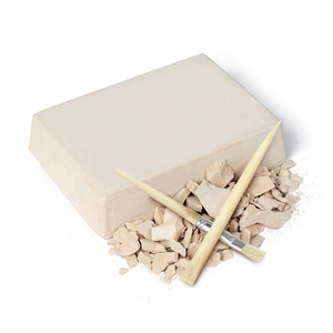 2021 Đồ Chơi Giáo Dục Khoa Học Gốc Bộ Đồ Khảo Cổ DIY Đào Vỏ Sò Biển Của Bạn Bộ Dụng Cụ Khai Quật Lắp Ráp Vòng Đeo Tay Cho Trẻ Em - Product Image 4