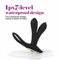 Stimulateur de point P chauffant AITE AT-PM002 - Masseur de prostate rotatif chauffant à 12 vitesses, mains libres, télécommande, rechargeable par USB, IPX7
