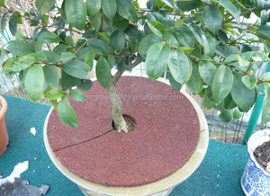 Tapis d'anneau d'arbre de paillis en caoutchouc rond en gros pour la couverture de racine de plante de jardin - Product Image 4