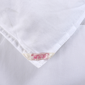 Mùa Đông Lông <span class=keywords><strong>Quilt</strong></span> Khách Sạn Bộ Đồ Giường Duvet Bên Trong Chăn <span class=keywords><strong>100</strong></span> <span class=keywords><strong>Polyester</strong></span> Comforter Chăn Bộ Đồ Giường Set Nữ Hoàng Kích Thước - Product Image 6