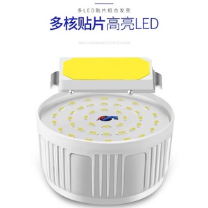 Fluorescent Deer Led Camping <b>Light</b> Dc 6V Rechargeable <b>Emergency</b> Lamp For Outdoor Use - Product Image 2