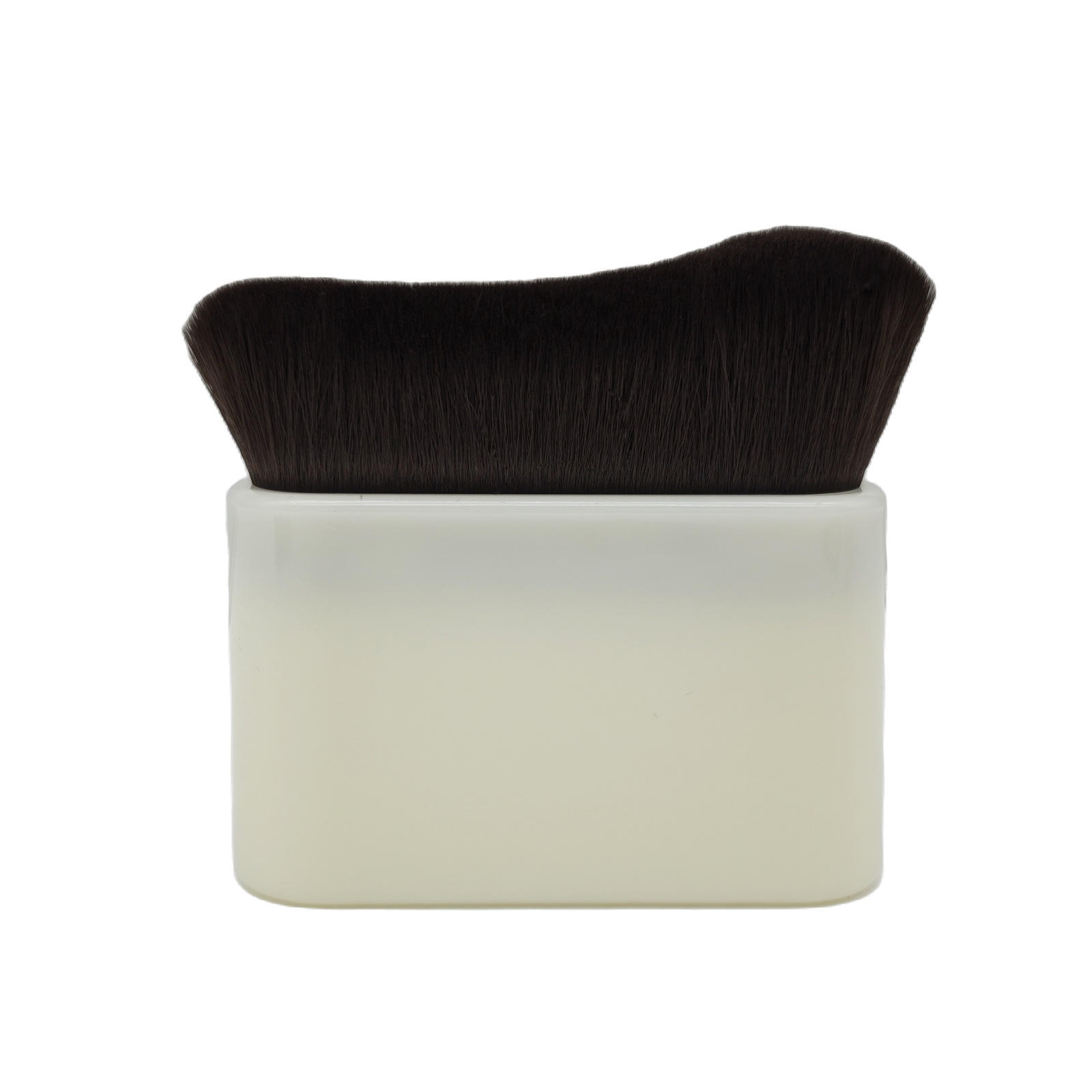 ขนสีเบจ + น้ำตาล-ดำ