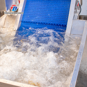 Máy chế biến thực phẩm công nghiệp, làm sạch rau củ quả, cam quýt, quả chanh dây, có chức năng tạo bọt trước khi rửa TS-T30A - Product Image 4