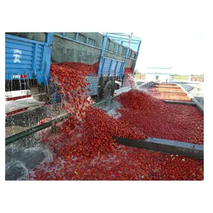 Fabrik lieferant 60TPD Tomatenmark herstellungs maschine automatische Tomaten ketchup Produktions linie