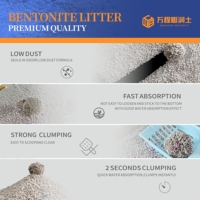 Fabricant de litière pour chat Bentonite accessoires pour chat en gros déodorant tache de sable litière pour chat fournitures pour chat