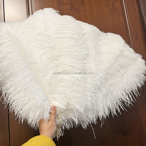 Vente en gros de <span class=keywords><strong>plumes</strong></span> <span class=keywords><strong>d</strong></span>'<span class=keywords><strong>autruche</strong></span> blanches de 55 à <span class=keywords><strong>60</strong></span> <span class=keywords><strong>cm</strong></span> pour les costumes de carnaval <span class=keywords><strong>d</strong></span>écoration de fête de mariage Plumas - Product Image 5