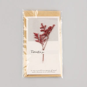 การ์ดอวยพรดอกไม้แห้งทำมือ ของขวัญงานแต่งงานสุดโรแมนติก สำหรับงานเลี้ยงฉลองสมรส งานครบรอบ งานหมั้น และงานเลี้ยงสังสรรค์ - Product Image 4
