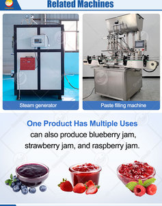 Ligne <span class=keywords><strong>de</strong></span> production industrielle et commerciale automatique pour la fabrication <span class=keywords><strong>de</strong></span> sauce, purée et pâte <span class=keywords><strong>de</strong></span> tomates italiennes - Product Image 4