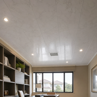 Panel de Techo de PVC con Patrón de Piedra Suave WYRAX, 250 x 7.5 mm, Estructura Hueca Ligera para Espacios Domésticos y de Trabajo