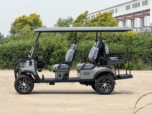 Voiturette de golf compacte à vendre - Product Image 2