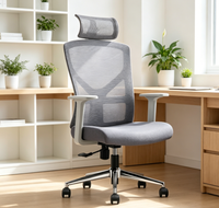 Chaises de bureau réglables avec support lombaire, dossier solide et coussin d'assise en nylon pour le bureau à domicile