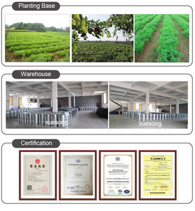 น้ำมันหอมระเหยราก <span class=keywords><strong>Angelica</strong></span> sinensis สำหรับเครื่องกระจายน้ำมันหอมระเหย<span class=keywords><strong>100</strong></span>% สารสกัดจากสมุนไพรธรรมชาติบริสุทธิ์เกรดการรักษาสำหรับดูแลร่างกาย - Product Image 6