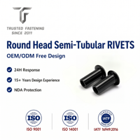 Rivets semi-tubulaires à tête ronde en acier au carbone TianFang pour la production de cadres d'appareils électroménagers, finition zinguée, revêtement par tréfilage