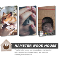 Sarang Hamster Kayu Solid Alami Grosir Cocok untuk Istirahat, Tempat Bersembunyi, dan Tempat Berteduh untuk Hewan Peliharaan Kecil