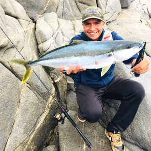 Canne à pêche TGD Best <span class=keywords><strong>MOJO</strong></span> 1,98 <span class=keywords><strong>m</strong></span> <span class=keywords><strong>M</strong></span> L ML 2 sections pour la pêche au bar et à la carpe, en carbone de haute qualité, ultra-légère, pour lancer loin - Product Image 6