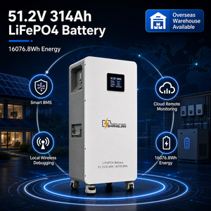 Europe Poland Warehouse 51.2V 314Ah LiFePO4 <b>Battery</b> 16kWh Home Energy Storage System Solar <b>Battery</b> with Casters 6000 Cycles - Product Image 1