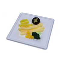 Plaques biodégradables jetables Plaques de moule en pâte à papier Bagasse de canne à sucre Plaques carrées 6/8/10 sans PFAS