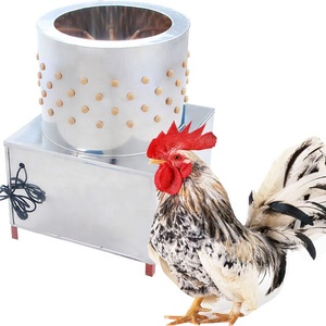 Machine à peler les gésiers de poulet / Équipements d'épluchage de poulet - Product Image 6