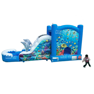 Castillo Inflable Acuático con Tobogán, Brincolín y Zona de Juegos Húmedos y Secos para Niños, Diversión Acuática de Verano - Product Image 1