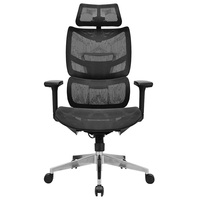 Chaise de bureau ergonomique en maille Autonomous Depot avec massage 3D des genoux Insertion de hauteur cible de 8 heures Cher mais confortable