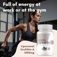 Gélules liposomales d'Urolithine A OEM/ODM avec TMG et CoQ10, Complément Nutritionnel Quotidien pour l'Énergie Cellulaire et le Bien-être