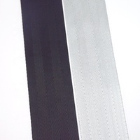 Offre Spéciale polyester matériel ceinture de randonnée solide couleur argent solide non élastique accepter sangle de sécurité personnalisée