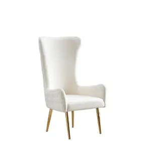 Bon matériau en Europe lgorgeous accent chaises de salle à manger velours designer balco chaises pour salon salon