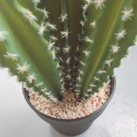 Plantes artificielles réalistes en forme de cactus, faux cactus avec pot pour la vente en gros