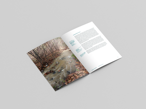 Catálogo personalizado Perfect Bound Books Offset Paper Matt Paper Fotografía, Portafolio, Obra de arte - Product Image 5