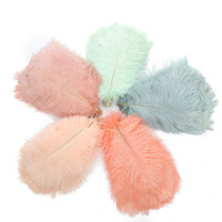 Plumes d'autruche naturelles en vrac teintées de 25 à 30cm personnalisables pour la décoration de mariage et les éventails muraux en plumes