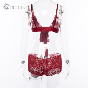 Hoge Kwaliteit Sexy Ondergoed Dames Sexy Borduurwerk Kant Slipje En Bh 2 Delige Set Voor Vrouwen - Product Image 5